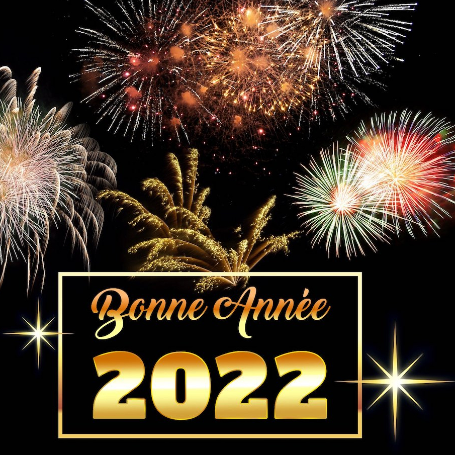 Bonne année à toutes et à tous !